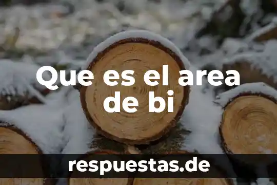 Qué es el área de un número 8 Que es el area de bi