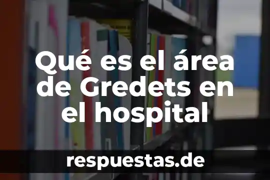 Que es un director general de un hospital 7 Qué es el área de Gredets en el hospital