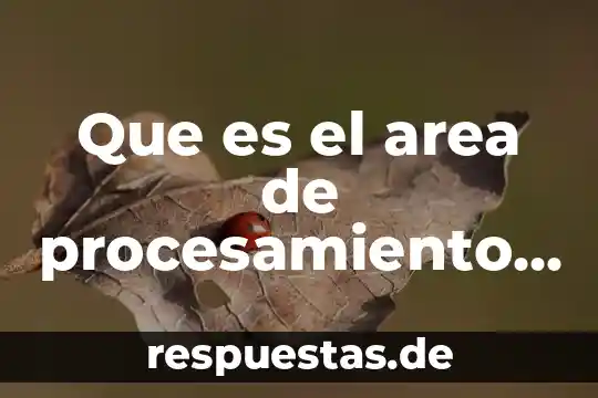 Que es la teoria del procesamiento dela informacion 6 Que es el area de procesamiento de datos