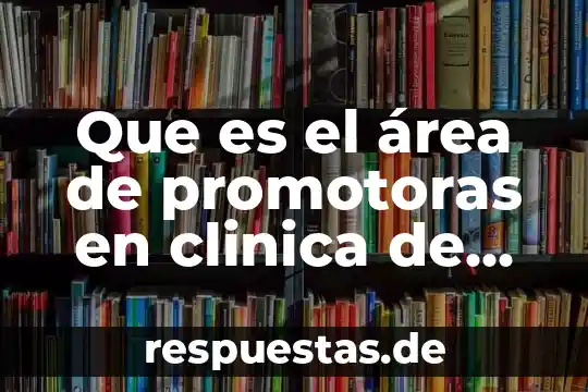 Qué es el área de un número 3 Que es el área de promotoras en clinica de salud