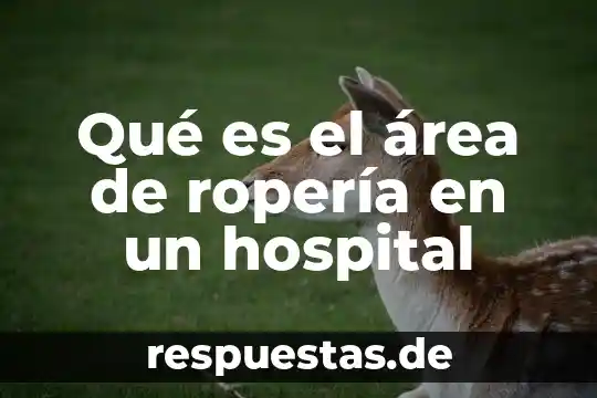 Que es un director general de un hospital 8 Qué es el área de ropería en un hospital