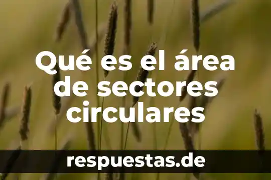 Area recreativa que es 7 Qué es el área de sectores circulares
