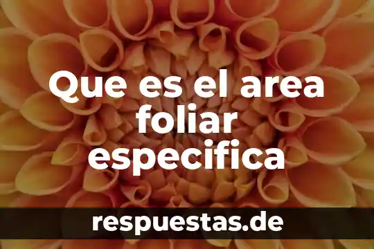 Cultura especifica que es 3 Que es el area foliar especifica