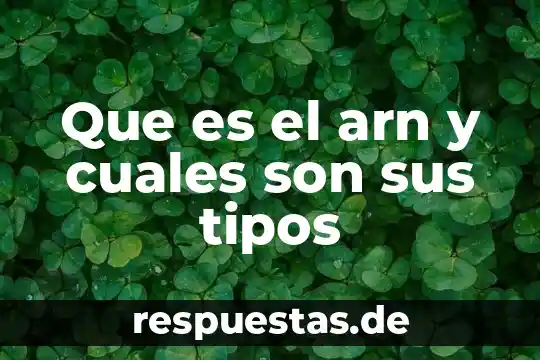 Qué es un número dígito y cuáles son 3 Que es el arn y cuales son sus tipos