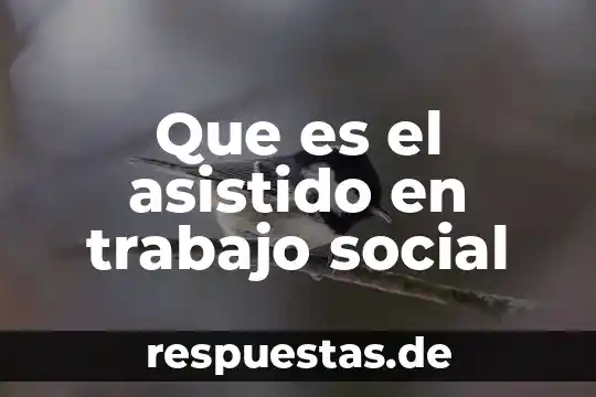 Que es un grafico emplea diseño asistido por computadora 6 Que es el asistido en trabajo social