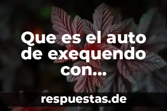 Qué es la textura de forma y color 5 Que es el auto de exequendo con mandamiento en forma