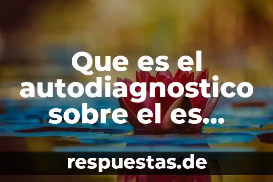 Qué es autodiagnóstico del ser 5 Que es el autodiagnostico sobre el es estilo personal