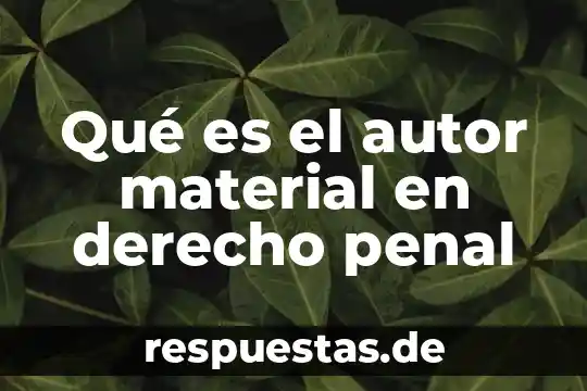 Que es el analisis de la situacion concepto por autor 5 Qué es el autor material en derecho penal