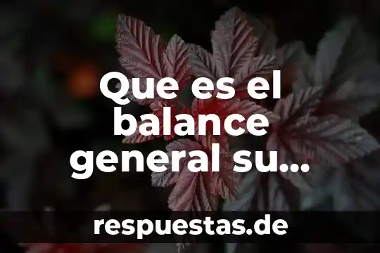 Que es homotecia y que elementos lo forma 4 Que es el balance general su elementos y clasificacion