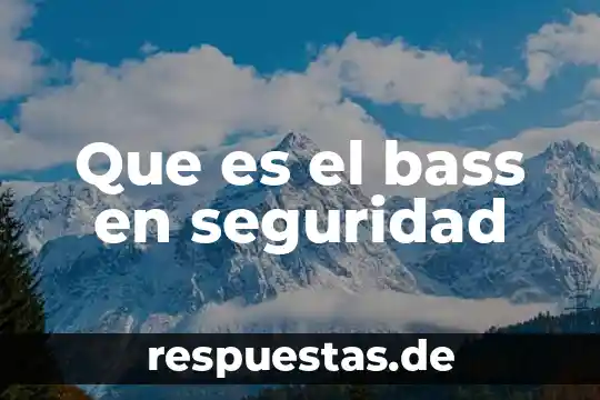 Que es el bass en seguridad