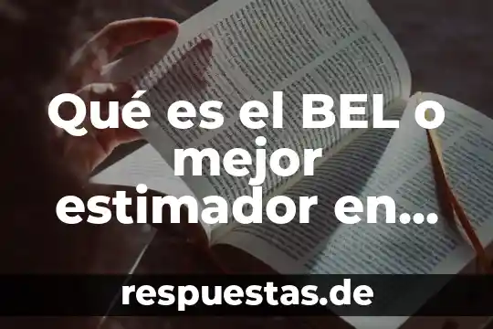 Que es mejor ariel o mas color 5 Qué es el BEL o mejor estimador en seguros