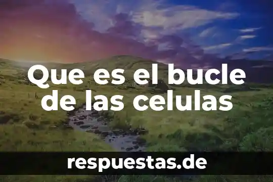 Que es el bucle de las celulas