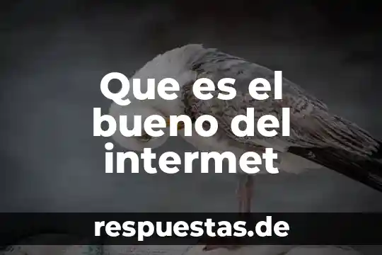 Qué es bueno para los nervios inflamados 6 Que es el bueno del intermet