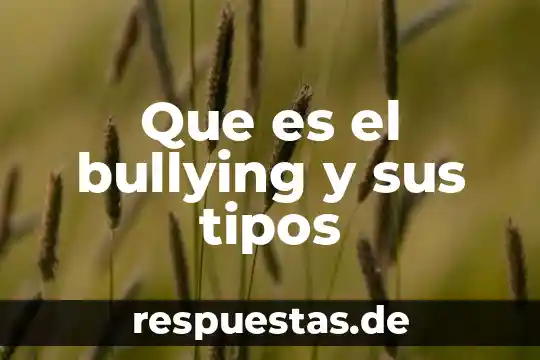 Que es conocimiento resumen corto 6 Que es el bullying y sus tipos