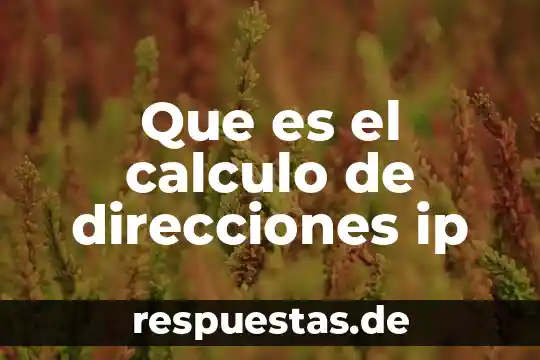 ¿Qué es un procesador? 6 Que es el calculo de direcciones ip