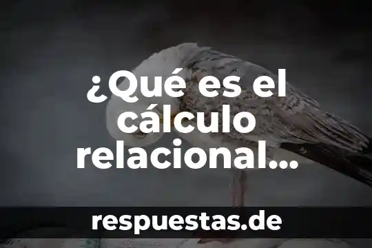Qué es límite en cálculo y los tipos 7 ¿Qué es el cálculo relacional basado en tuplas?