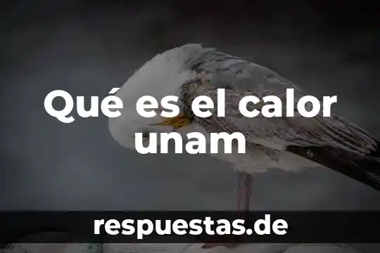 Que es ser hipomaniaca 8 Qué es el calor unam