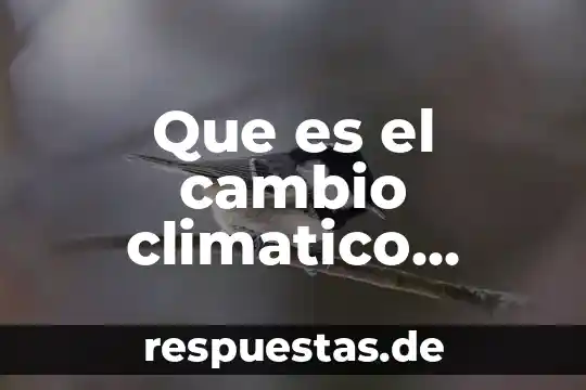 Que es lo que causa el calentamiento global 4 Que es el cambio climatico global yahoo