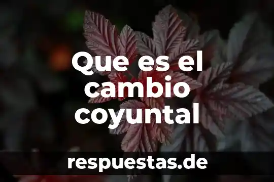 Qué es la e firma personas físicas y morales 5 Que es el cambio coyuntal