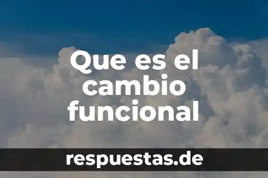 Qué es una salamandra cambio 8 Que es el cambio funcional