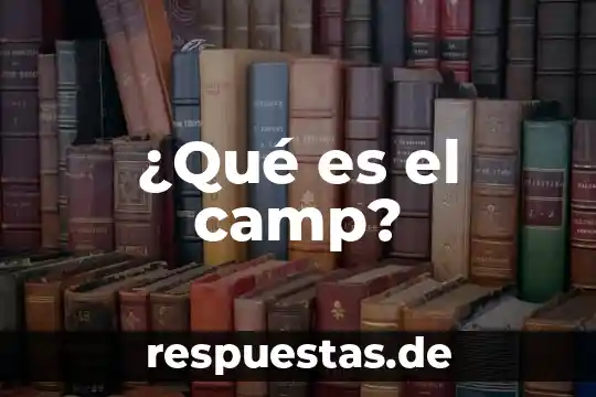 ¿Qué es el camp?