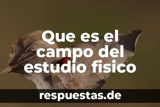 Que es campo de conocimiento 5 Que es el campo del estudio fisico