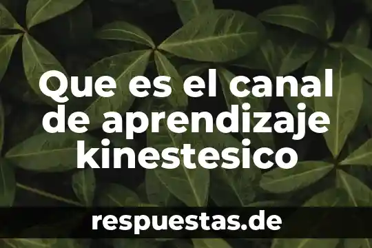 Que es ser auditivo visual o kinestésico 4 Que es el canal de aprendizaje kinestesico