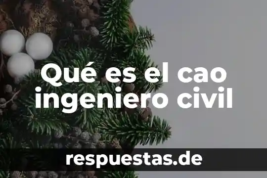 Que es la respo civil 8 Qué es el cao ingeniero civil