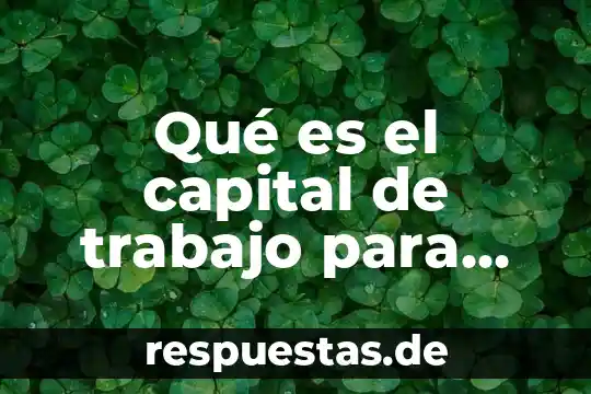 Qué es amortización de capital definición 7 Qué es el capital de trabajo para contabilidad