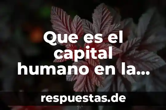 Que es razonamiento segun autores 5 Que es el capital humano en la organización según autores