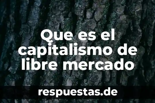 Qué es el mercado libre en internet 3 Que es el capitalismo de libre mercado