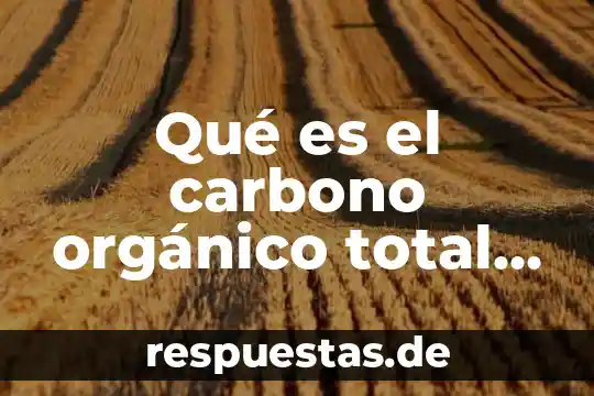 Que es el manejo total del agua 8 Qué es el carbono orgánico total y cómo se calcula