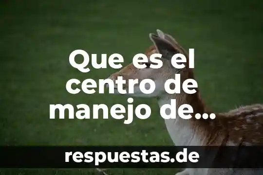 Qué es el número INE en residuos peligrosos 7 Que es el centro de manejo de residuos solidos