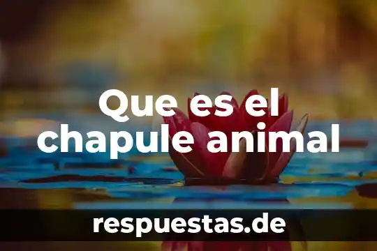 Que es el ciclo de vida de un animal 5 Que es el chapule animal