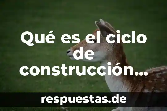 Programa de estancias infantiles que es 4 Qué es el ciclo de construcción de un programa