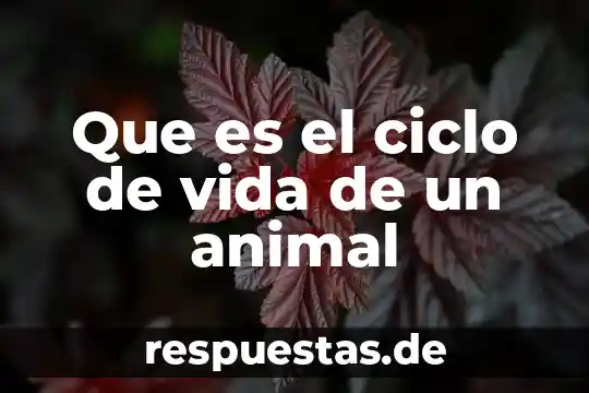 Qué es un animal vertebrado definición 3 Que es el ciclo de vida de un animal