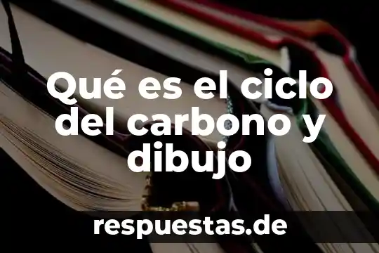 Qué es el ciclo del carbono y dibujo