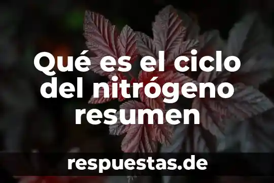 Que es el ciclo del carbono definición 6 Qué es el ciclo del nitrógeno resumen