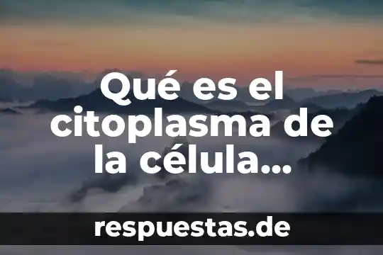 ¿Qué es la mitocondria de la célula animal? 7 Qué es el citoplasma de la célula animal y vegetal