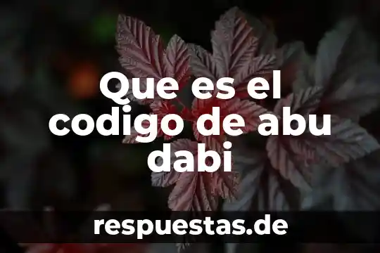 Que es una figura bidimennsional de artes 3 Que es el codigo de abu dabi