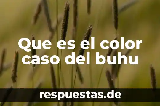 Que es el punto linea plano color 3 Que es el color caso del buhu