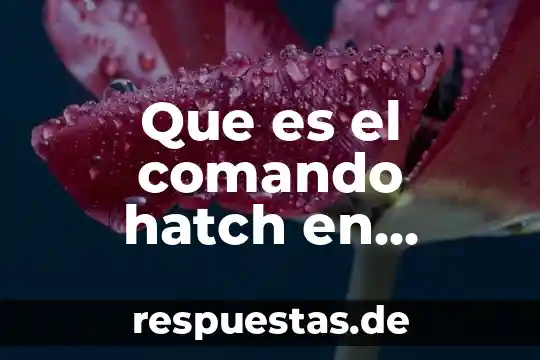 Que es el comando more en linux 6 Que es el comando hatch en autocad