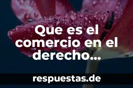 Que es la ley de sociedad mercantil 7 Que es el comercio en el derecho mercantil