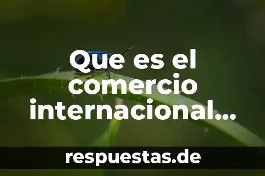 Que es color de fondo en una pagina web 6 Que es el comercio internacional segun la omc