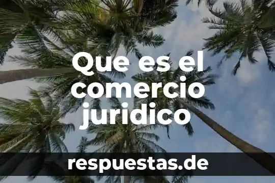 Que es y como funciona un crm en comercio electronico 3 Que es el comercio juridico