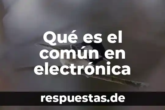 Qué es el conocimiento común y sus características 7 Qué es el común en electrónica