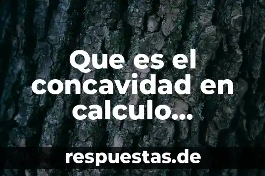 Que es el elemento diferencial equilibrio 4 Que es el concavidad en calculo diferencial