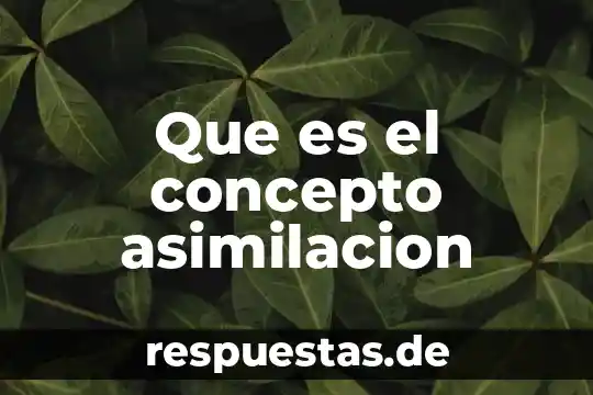 Qué es himno épico concepto 5 Que es el concepto asimilacion