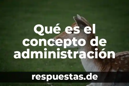 Concepto que es la flora 4 Qué es el concepto de administración