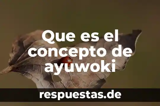 Que es la capacidad diseñada de un proyecto 7 Que es el concepto de ayuwoki